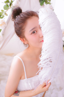 清朝大掌柜